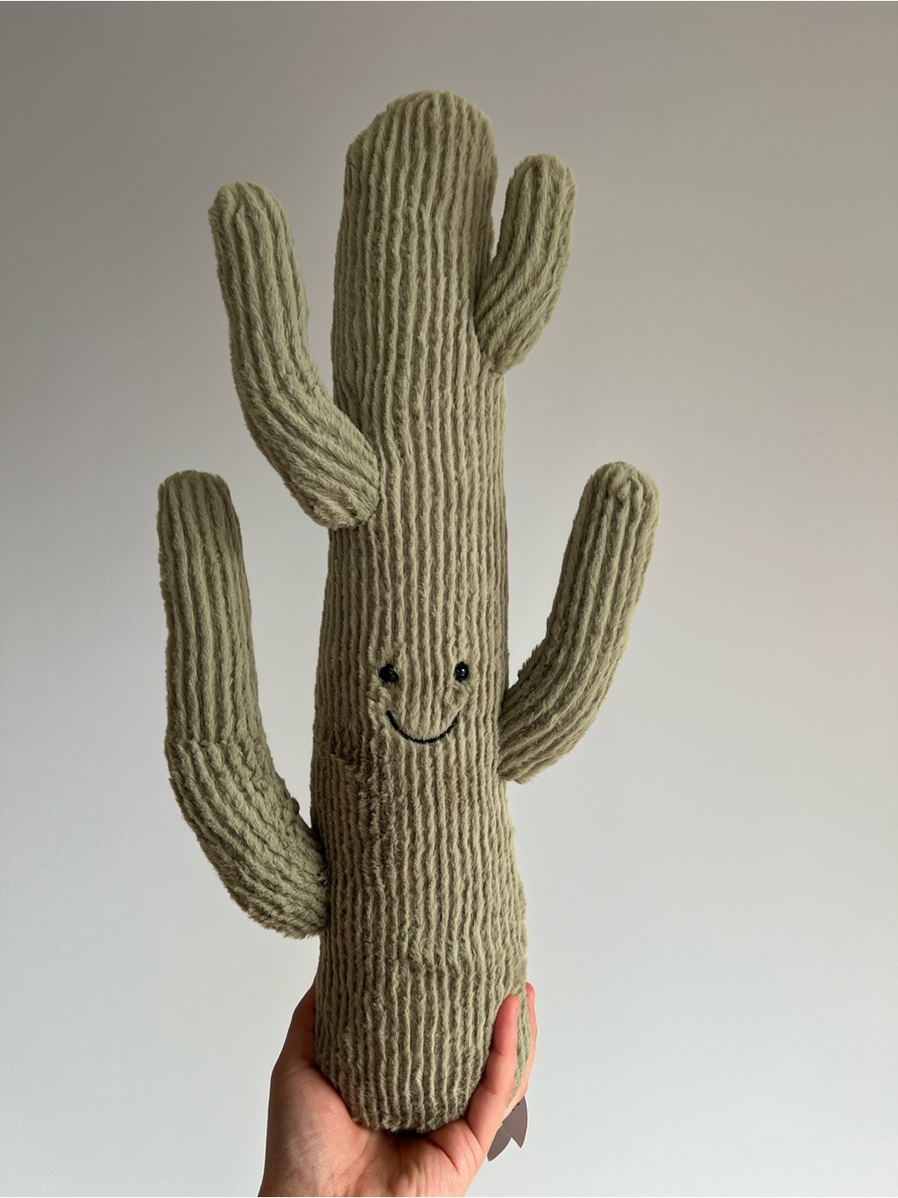 Jellycat Desert Cactus NWT
